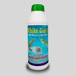 WHITE GUT-C