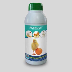AMINOVIT