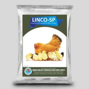 LINCO-SP