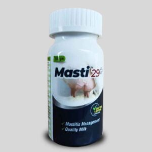 MASTI 29+