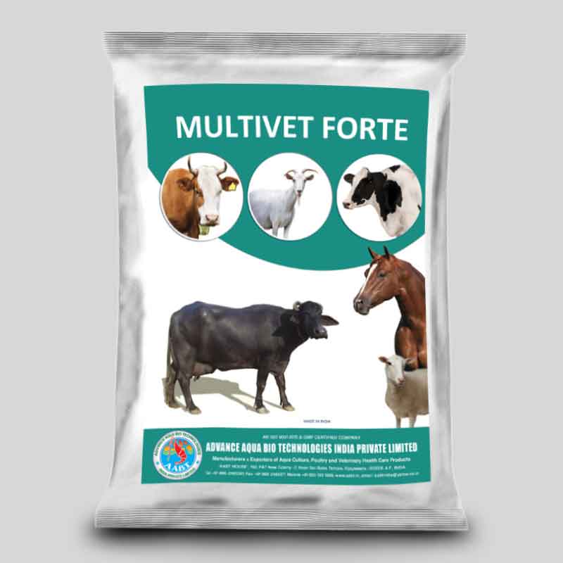 MULTIVET FORTE – AABT GROUP