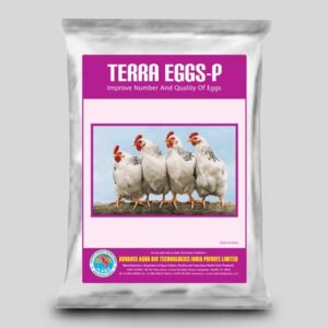 TERRA EGGS-P