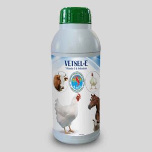 VETSEL -E