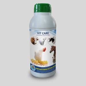 VIT CARE